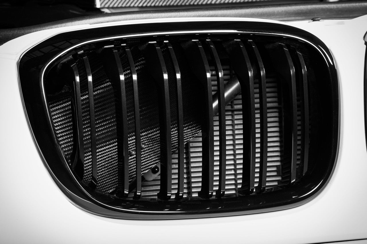 Eventuri Carbon Intake System