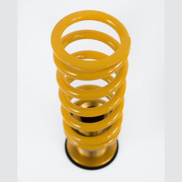 Ohlins Road & Track 